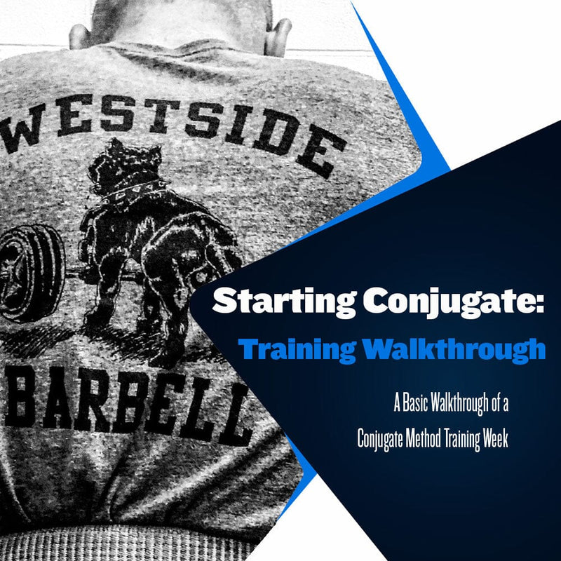 Starting Conjugate: Training Walkthrough