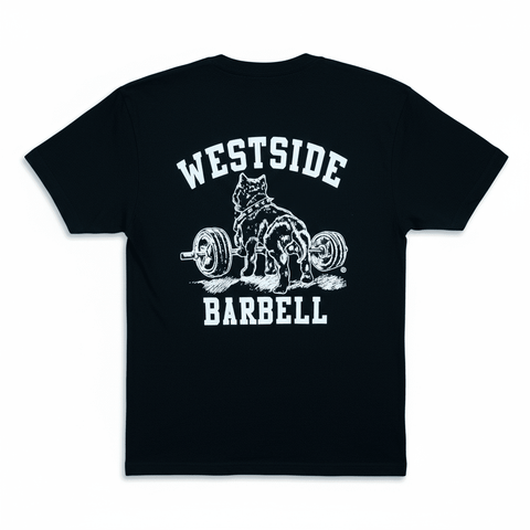 新品 BRIEFING BIG BEAT SHIRT RELATED FIT