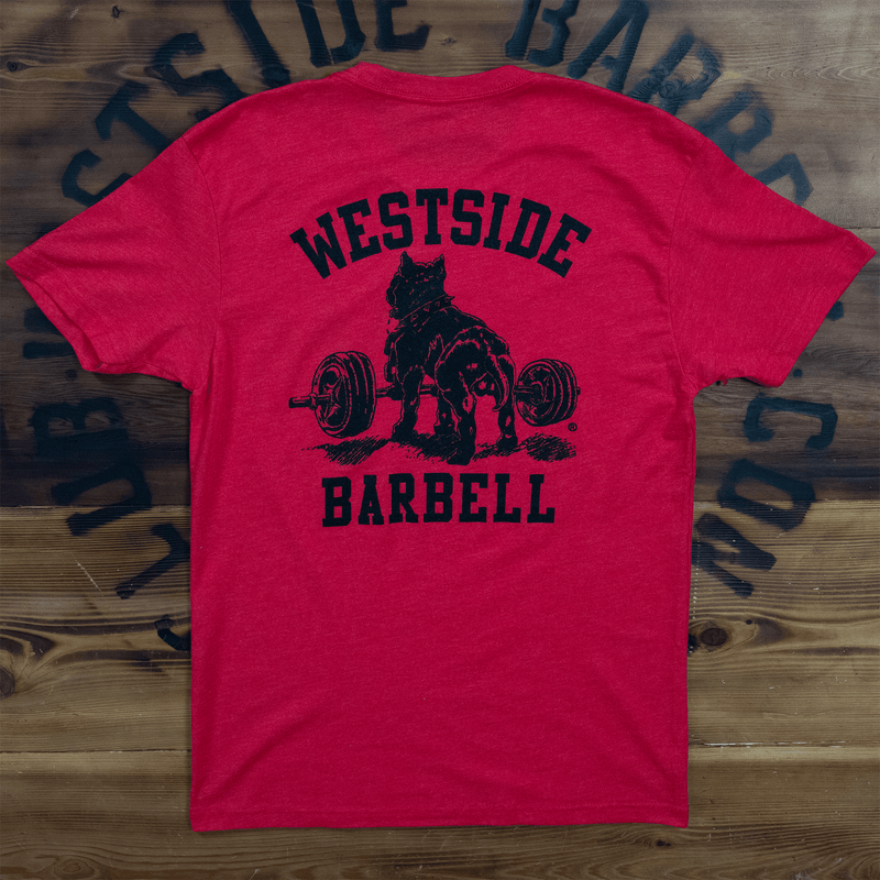 WSBB Bundles - 1947 - Never Collection T-shirt Bundle