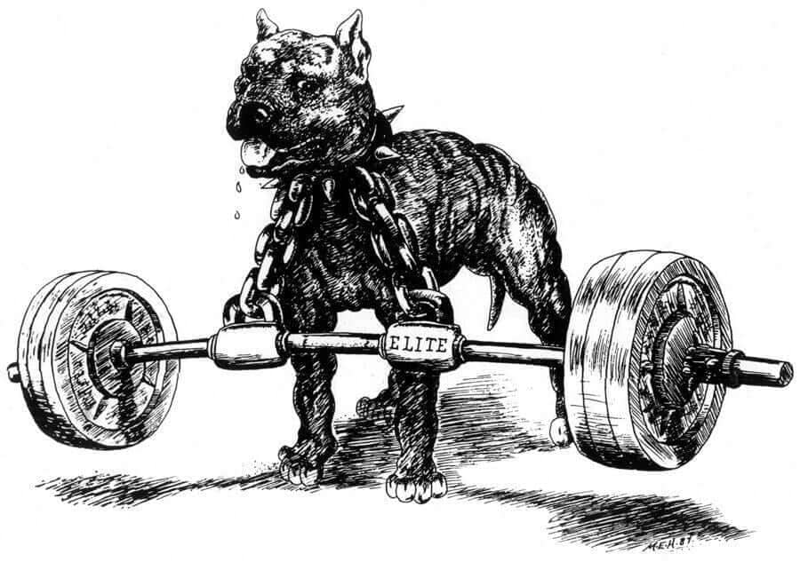 Westside Powerlifting Morning Crew-Max Effort Upper Body Workout September 28th