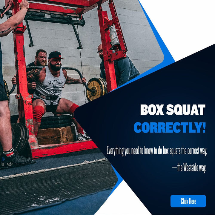 Box Squats performed at Westside Barbell with Louie Simmons