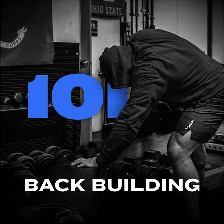WSBB Blog: Back Building 101