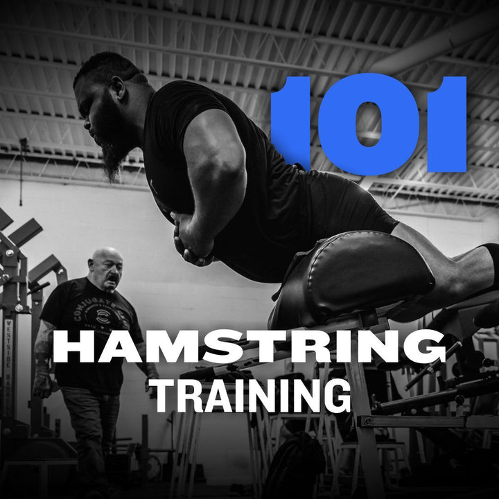 WSBB Blog: Hamstring Training 101