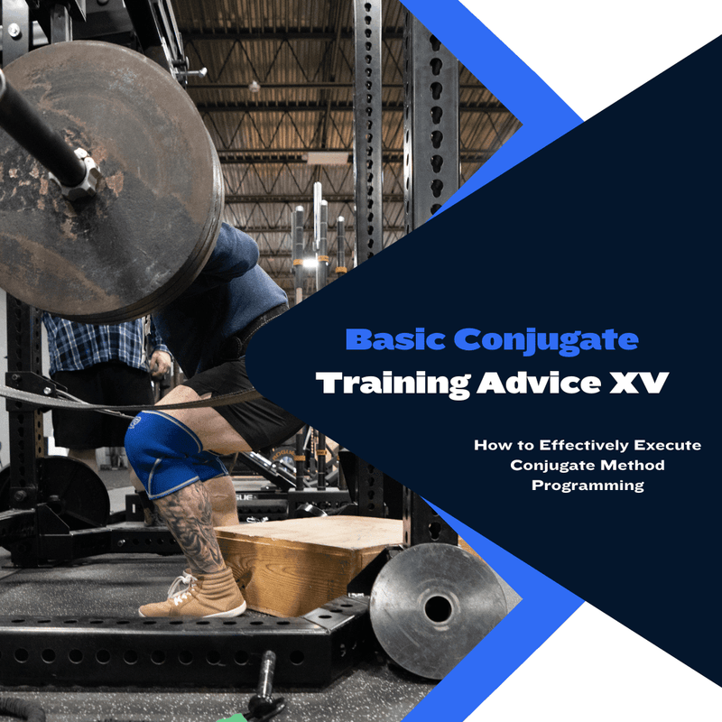 Basic Conjugate Training Advice XV