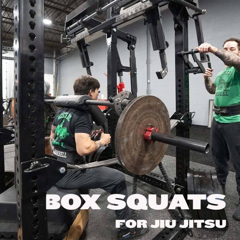 Why Jiu Jitsu Athletes Should Box Squat | Westside Barbell