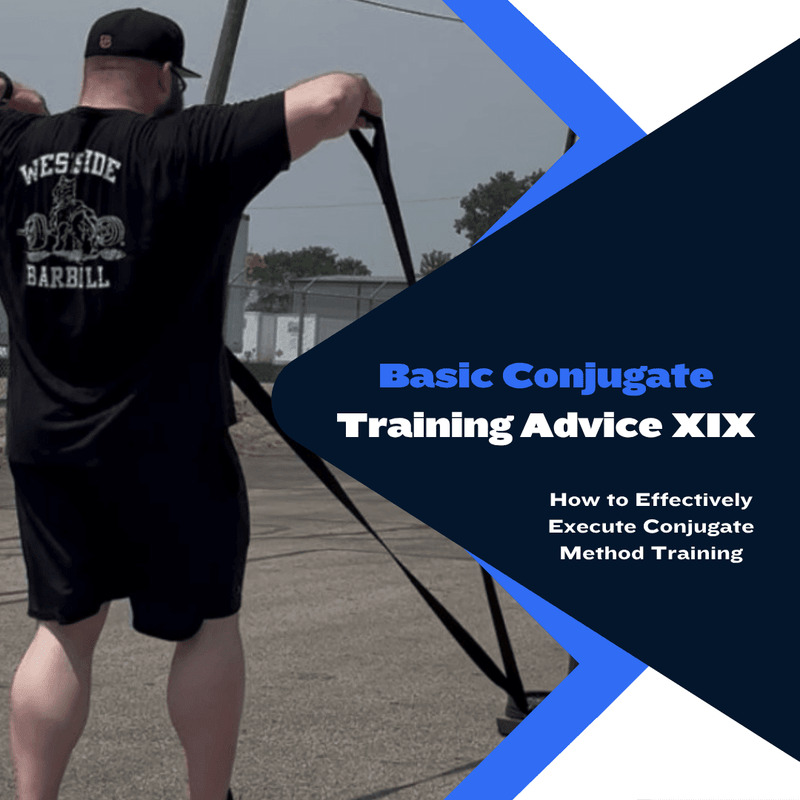 Basic Conjugate Training Advice XIX