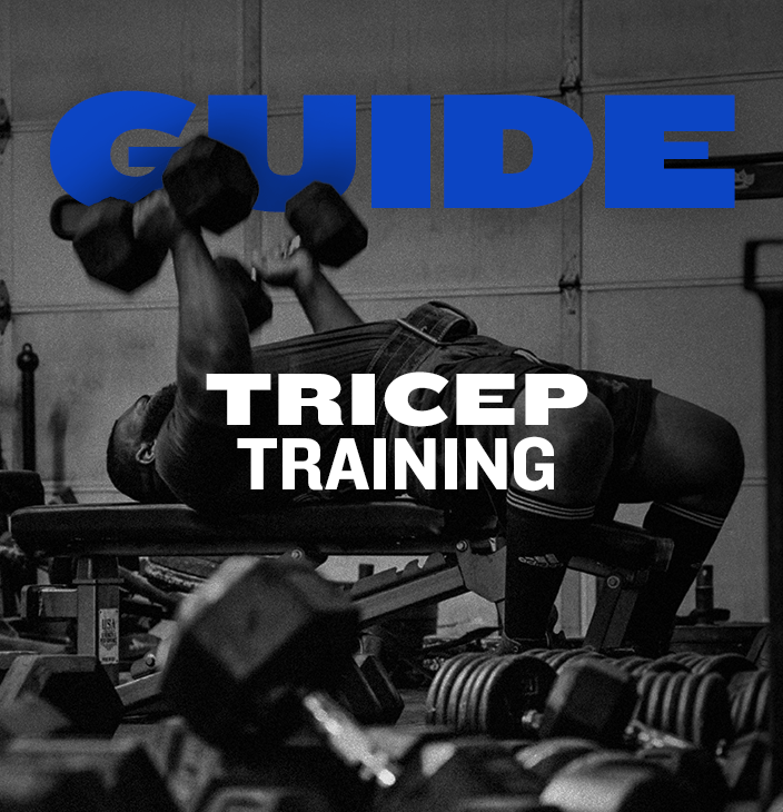 WSBB Blog: Quick Guide to Tricep Training