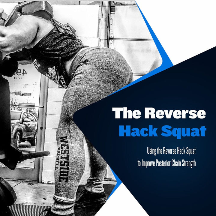 The Reverse Hack Squat