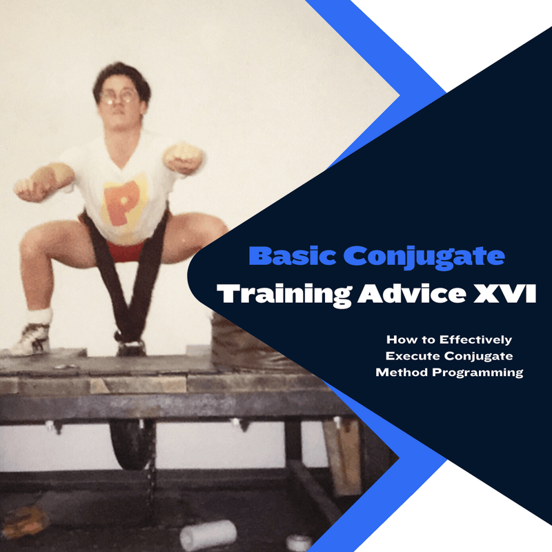 Basic Conjugate Training Advice XVI