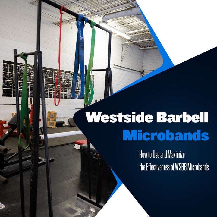 Westside Barbell Bands in use at the gym 