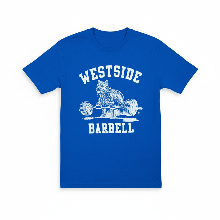 Blue t-shirt with &