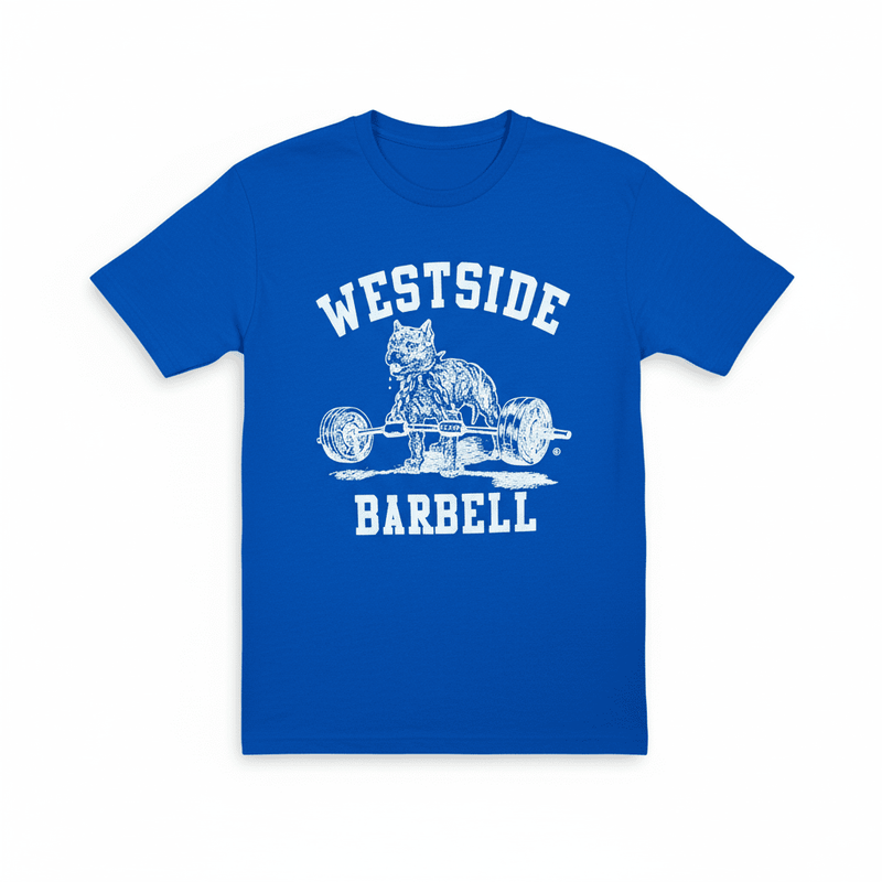 WSBB Mens Original Gym T-shirt - Blue