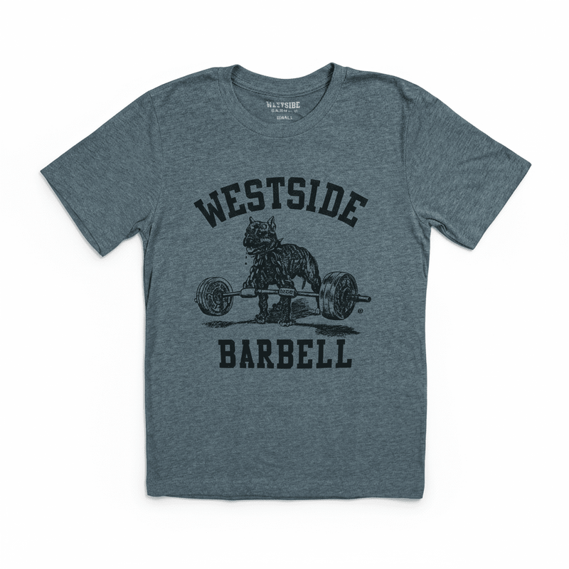 WSBB Mens Original Gym T-shirt - Grey
