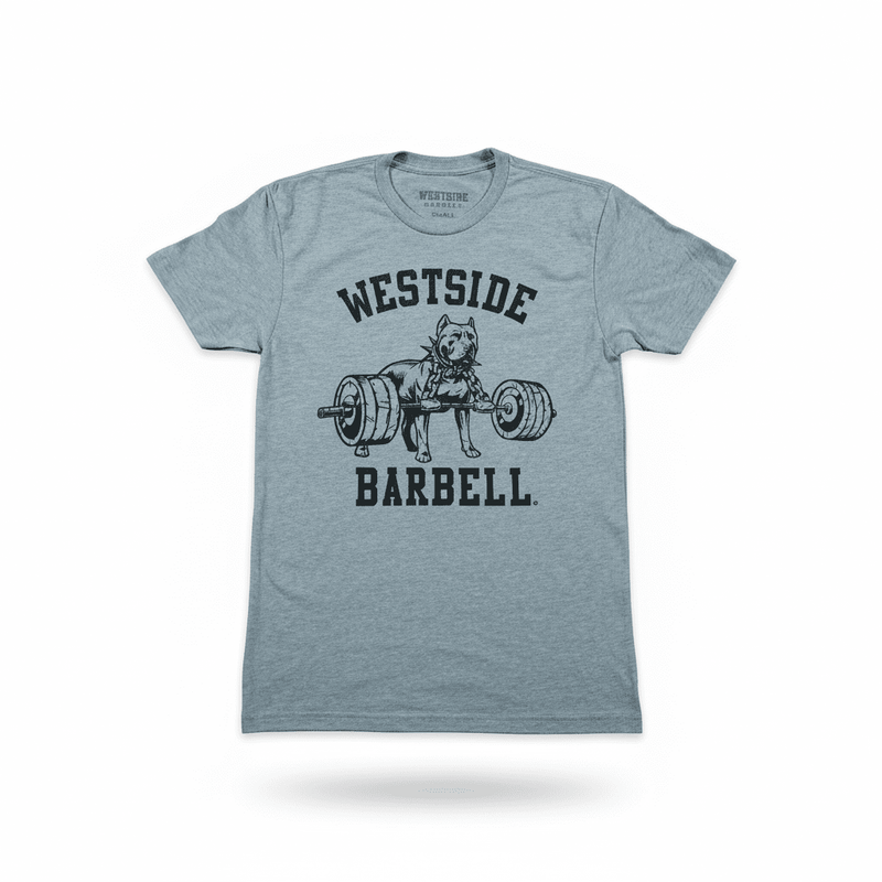 Nitro T-Shirt - Grey w/ Black