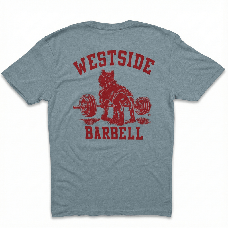 WSBB Mens Classic Gym T-shirt