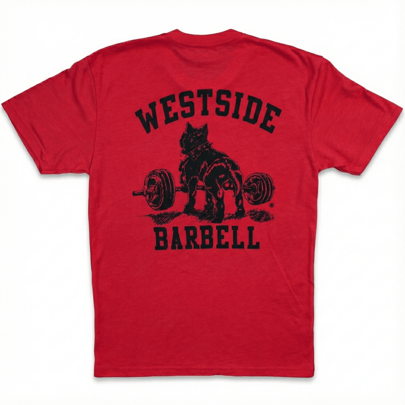 WSBB Mens Classic Gym T-shirt