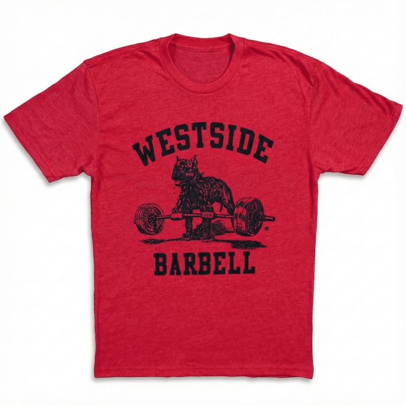 WSBB Mens Classic Gym T-shirt