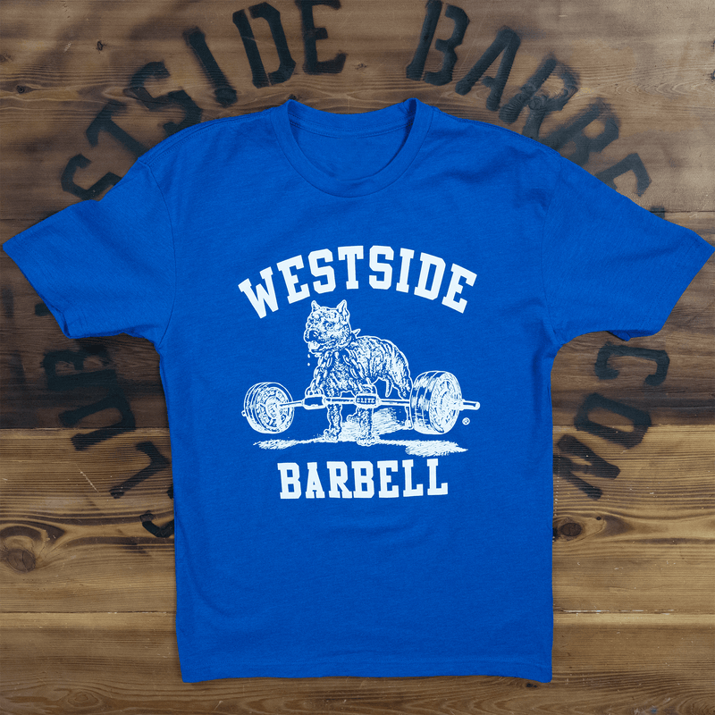 WSBB Mens Original Gym T-shirt