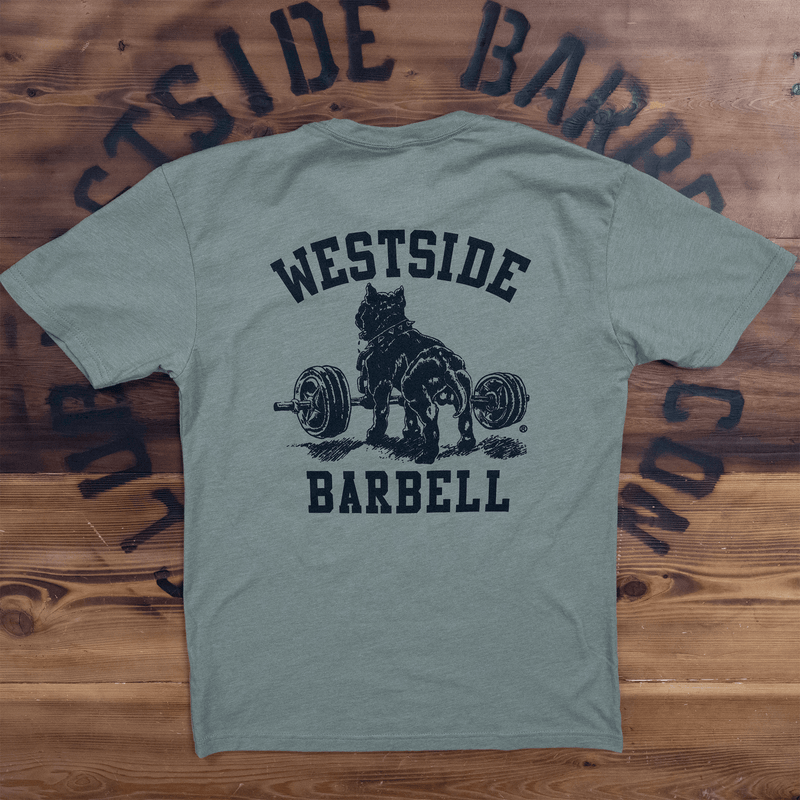 WSBB Mens Classic Gym T-shirt - Olive Drab/Black