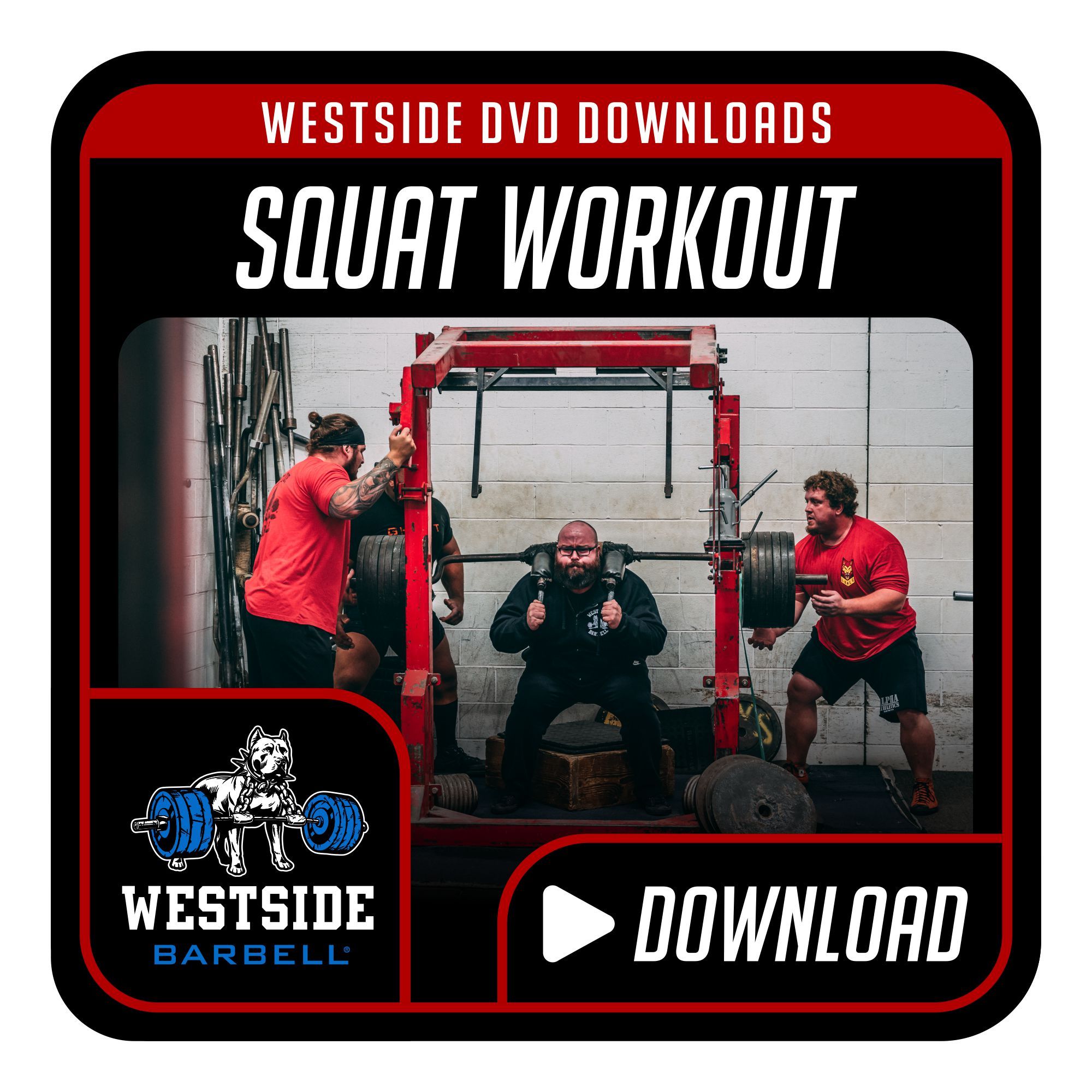 Squat Workout DVD Download – Westside Barbell