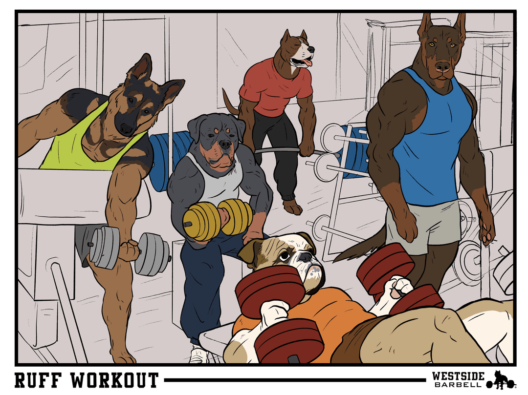 WSBB Posters - Ruff Workout Fine Art Print