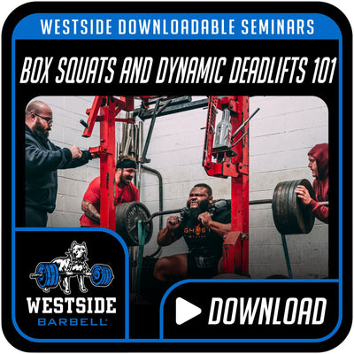 Westside Barbell downloadable seminar: Box Squats and Dynamic Deadlifts 101, title card