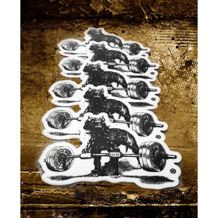 Nitro - Die Cut Sticker (5-Pack)